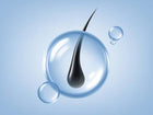 Procapil®